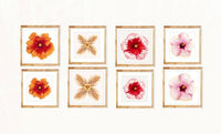 ALOHA DE MELE WILD THING - 8x8 PRINT 12x12 MAT