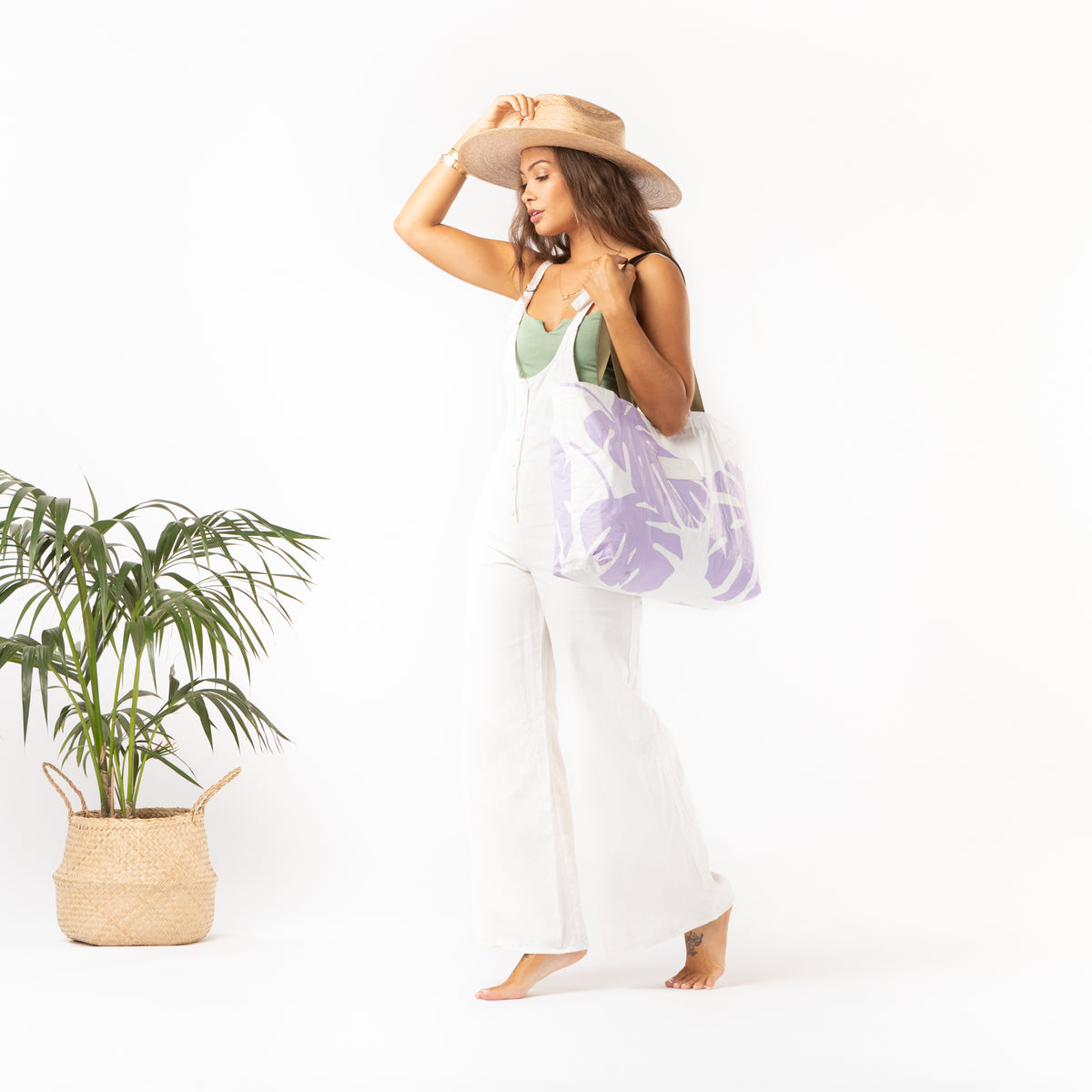 ALOHA COLLECTION HOLO HOLO / MONSTERA EVELYN