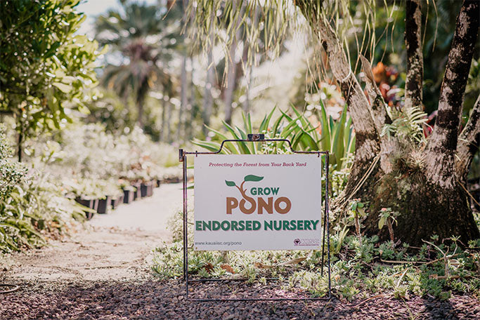 PLANTING PONO: How local nurseries are preventing the spread