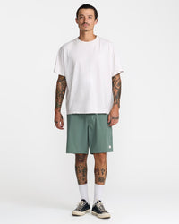RVCA VACANCY GHOST STRIPE 19" SHORTS - JDE