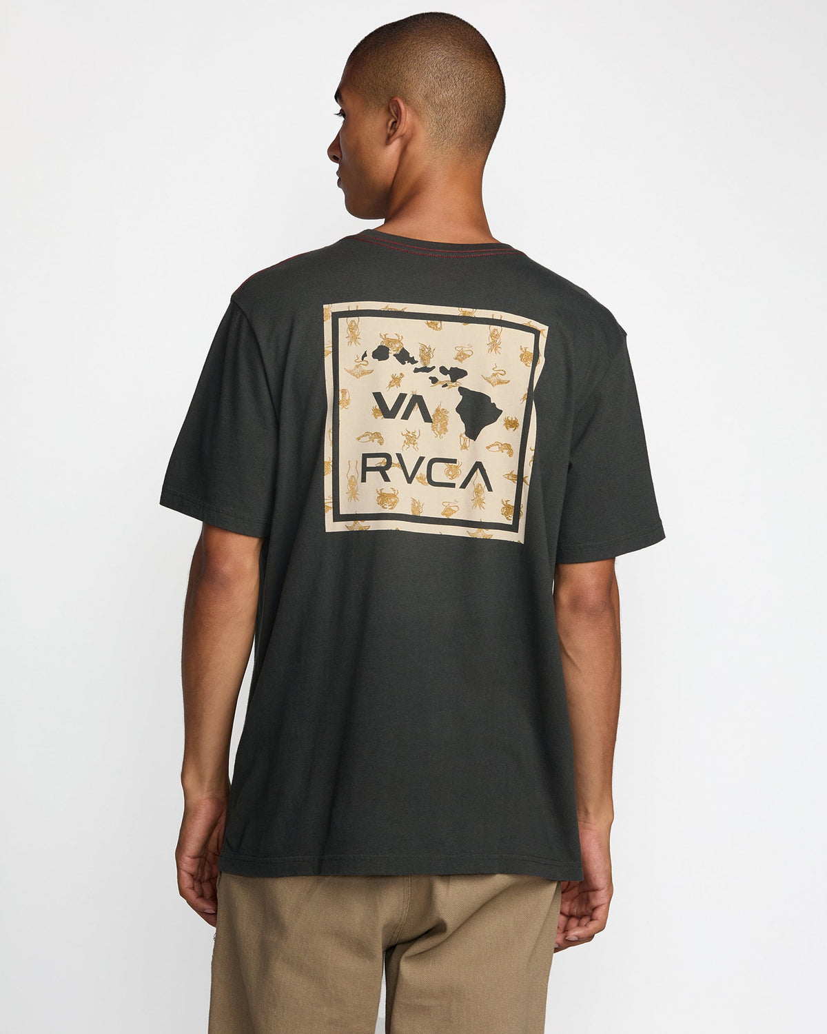 RVCA VA ATW HAWAII SS - PTK