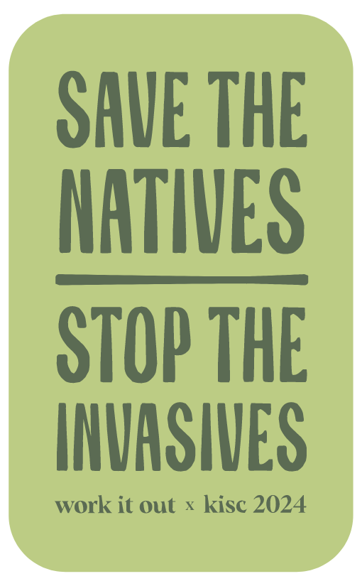 WORK IT OUT X KISC SAVE THE NATIVES STOP THE INVASIVES STICKER - OLIVE ON GREEN