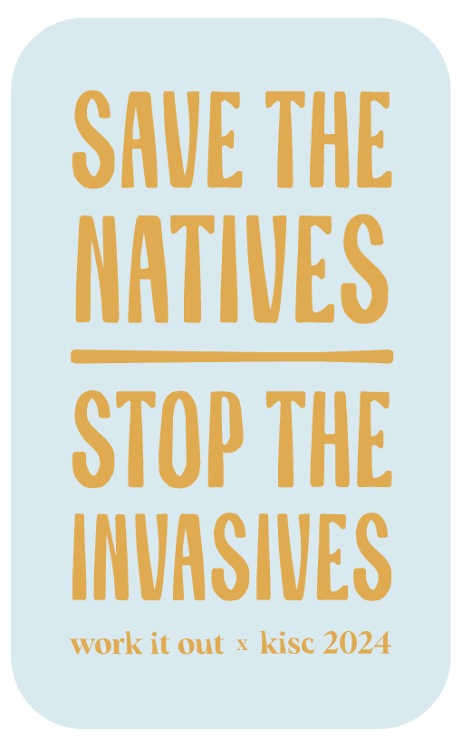 WORK IT OUT X KISC SAVE THE NATIVES STOP THE INVASIVES STICKER - MUSTARD ON BLUE