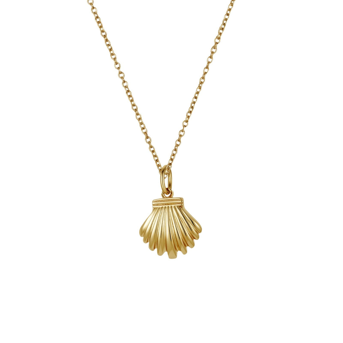 LOVE ME KNOT SUNRISE SHELL NECKLACE
