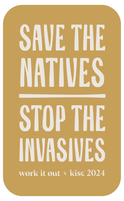 WORK IT OUT X KISC SAVE THE NATIVES STOP THE INVASIVES STICKER - WHITE ON MUSTARD