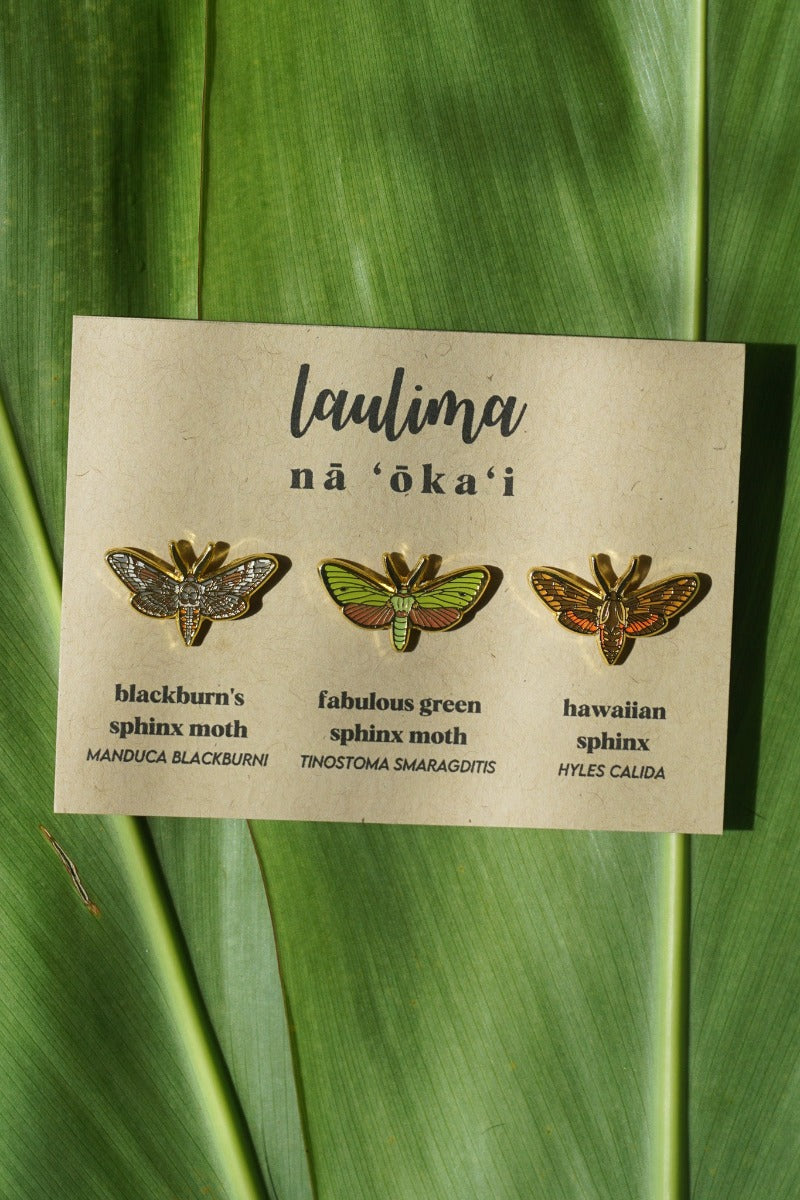 Sphinx Moth Pin LAULIMA HAWAIIAN SPHINX MOTH PIN SET – Work It Out