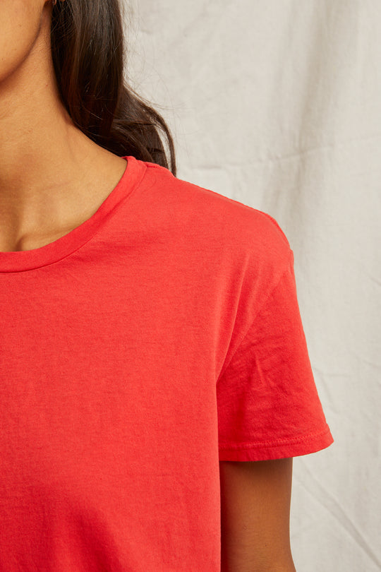 PERFECT WHITE TEE  HARLEY TEE - POPPY TEE T68