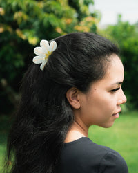 LAULIMA NAUPAKA HAIR CLIP - MEDIUM