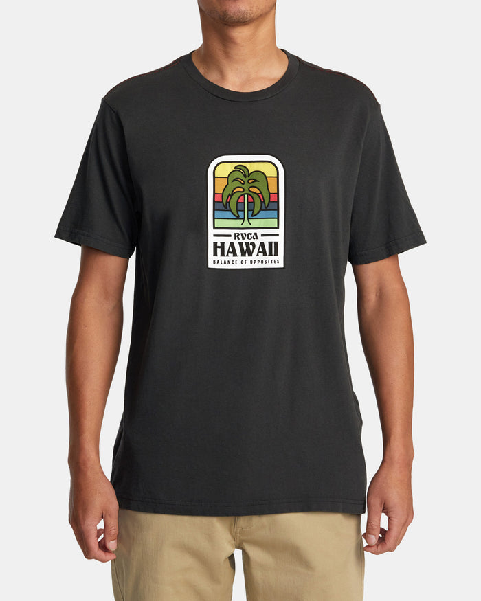 RVCA HAWAII ISLAND FLORA TEE - PTK