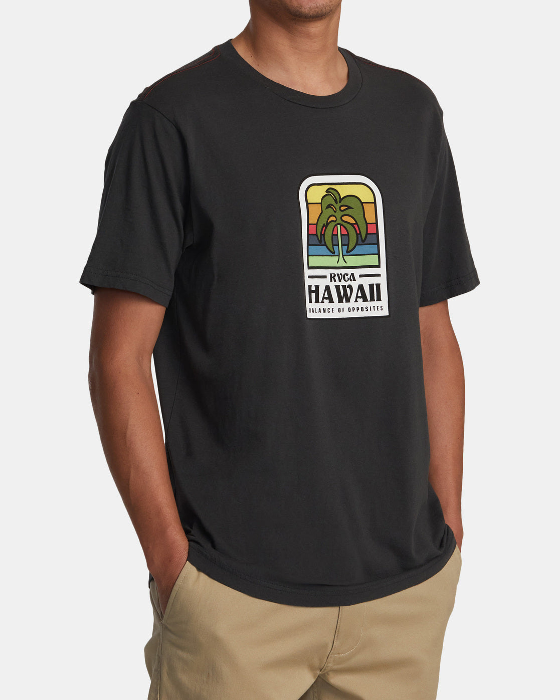 RVCA HAWAII ISLAND FLORA TEE - PTK