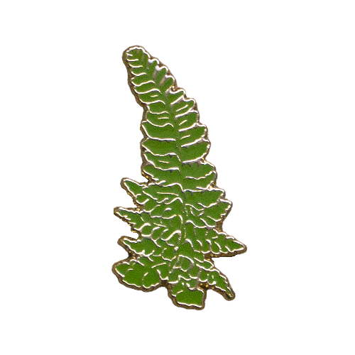 LAULIMA PALAPALAI PIN