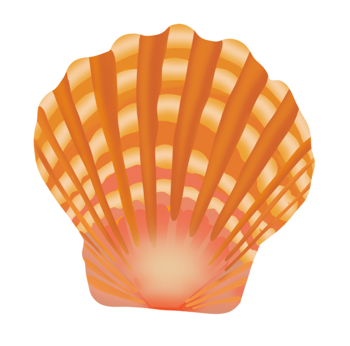 KAHOMELANI SUNRISE SHELL STICKER (2)