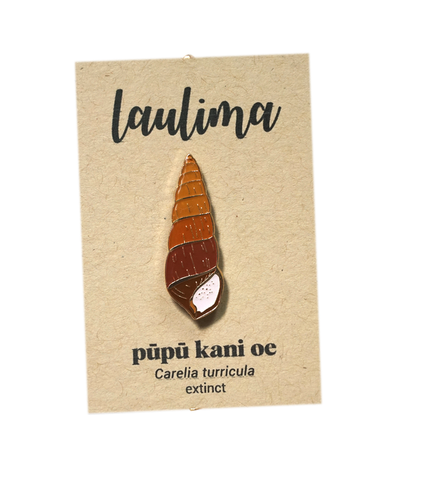 LAULIMA PUPU KANI OE PIN - CARELIA TURRICULA