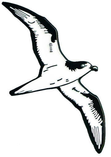 LAULIMA 'UA'U PIN