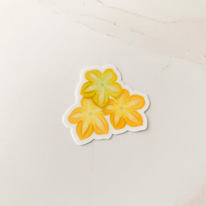 KAKOU COLLECTIVE PAKALANA TRIO STICKER