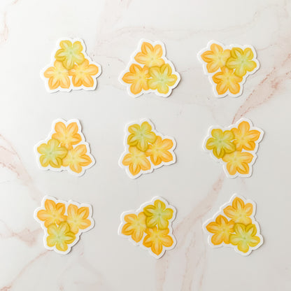 KAKOU COLLECTIVE PAKALANA TRIO STICKER