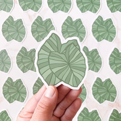 KAKOU COLLECTIVE KALO STICKER