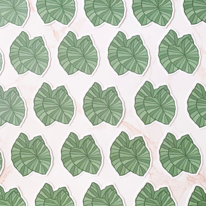 KAKOU COLLECTIVE KALO STICKER