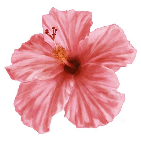 ALOHA DE MELE KORALL - 8x8 PRINT 12x12 MAT