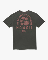 RVCA HAWAII MONSTERA TEE - PTK