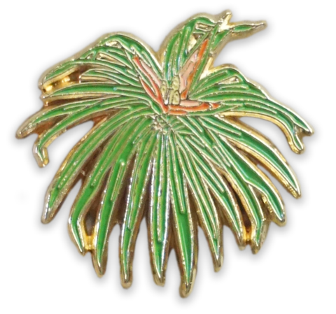 LAULIMA 'IE'IE PIN
