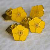 LAULIMA 'ILIMA PIN