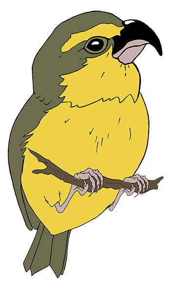 LAULIMA KIWIKIU STICKER