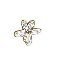 LAULIMA 'OLOPU PIN
